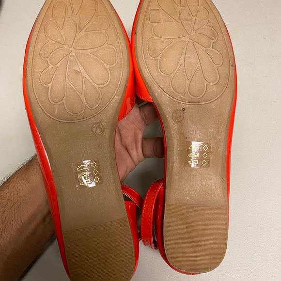 Clay Launday Flats - Picture 5 of 5